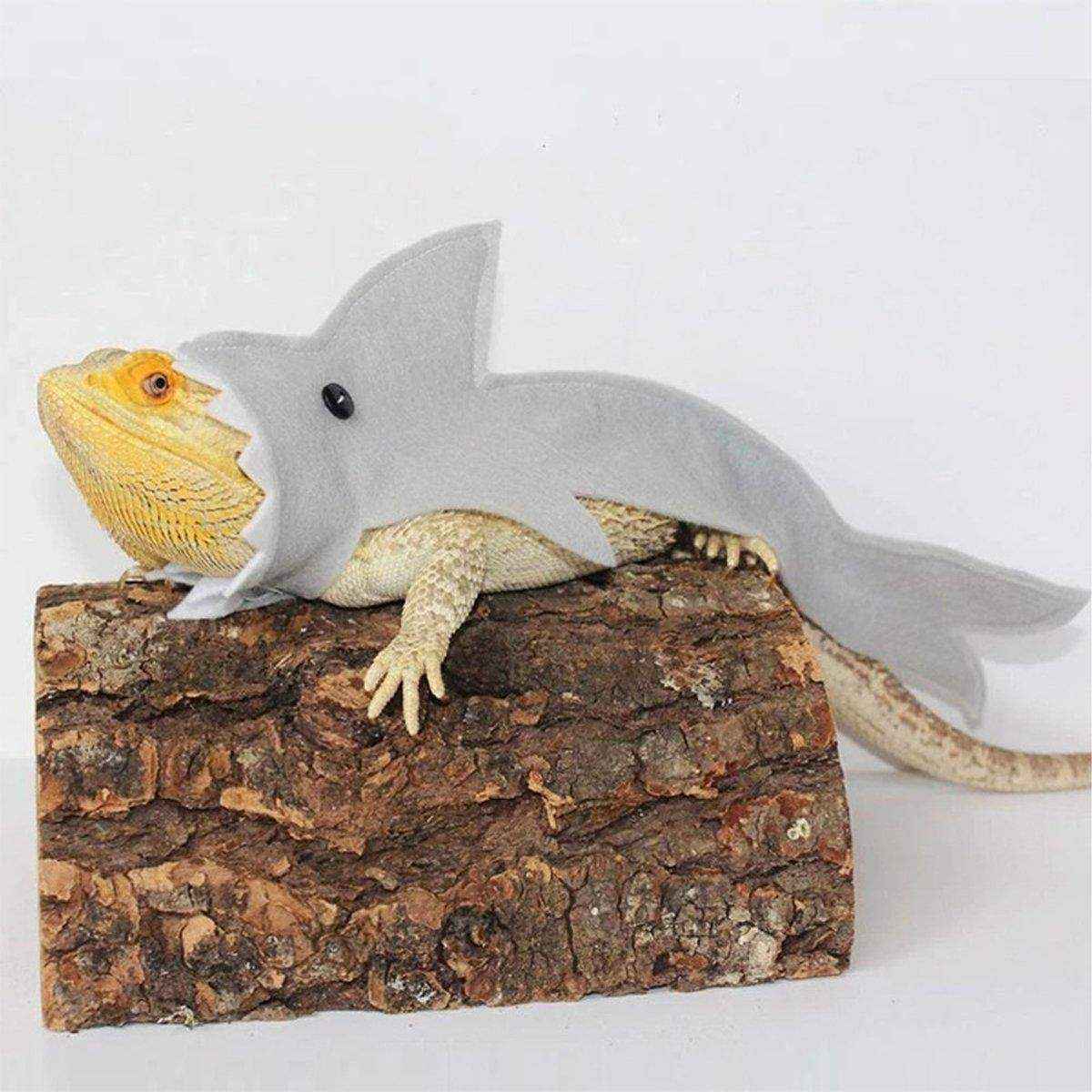 Lizard Shark Costume for Small Pets Adorable Reptile Outfit for Halloween Party