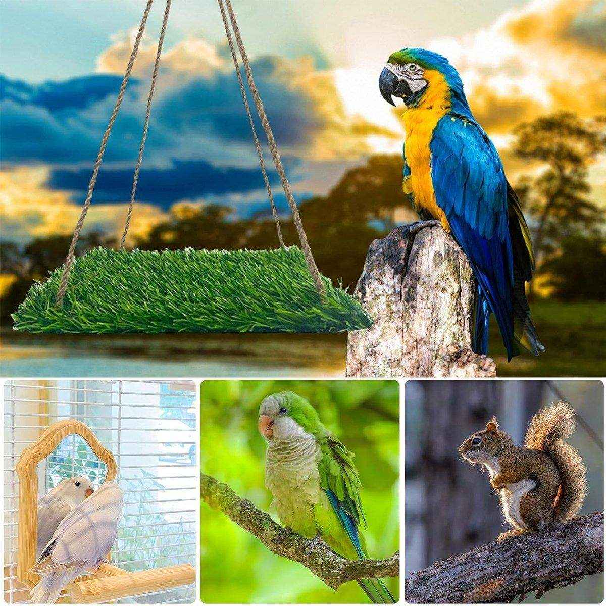 Pet Turf Hammock Ideal for Parrots Hamsters & Squirrels