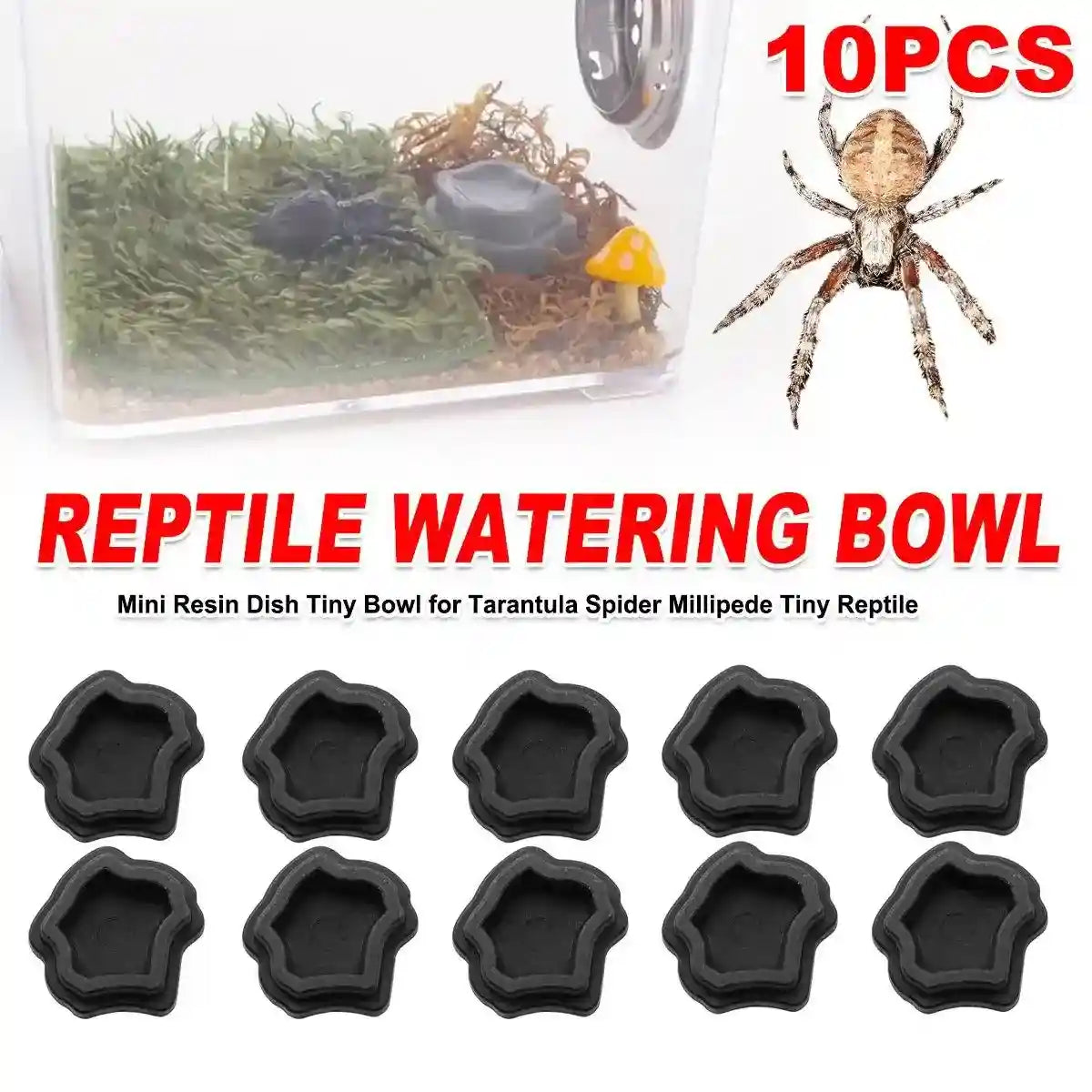 10pcs Reptile Spider Water Basin Resin Bowls Small Pet Feeder Reptile Water Sink