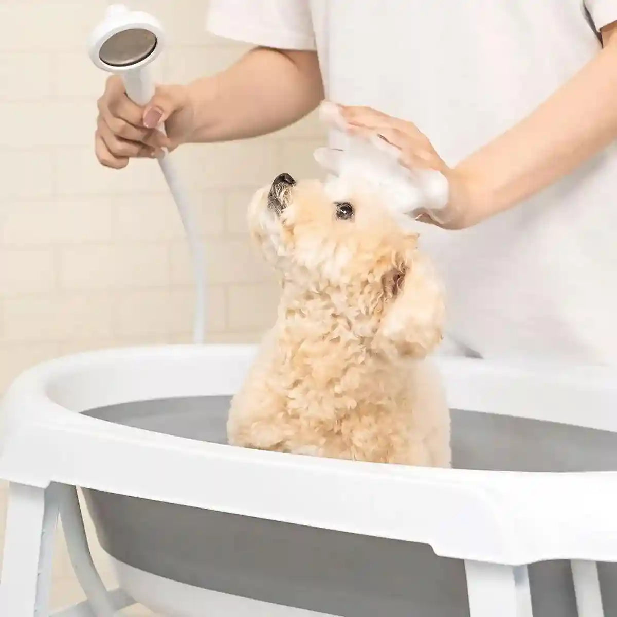 Retractable Folding Pet Bathtub