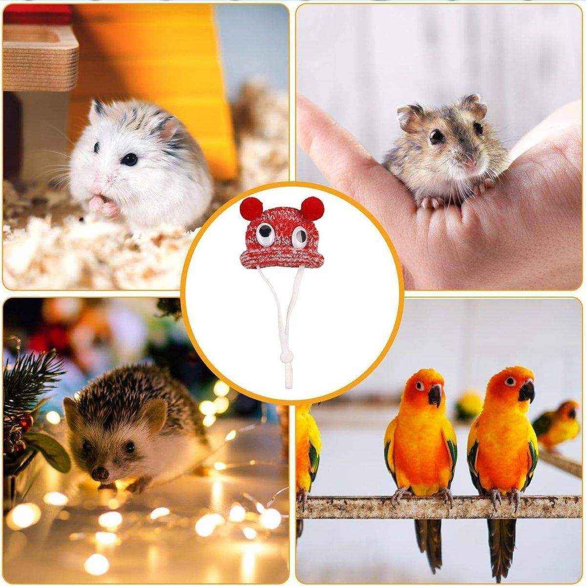 Adjustable Pet Hat for Hamsters and Guinea Pigs
