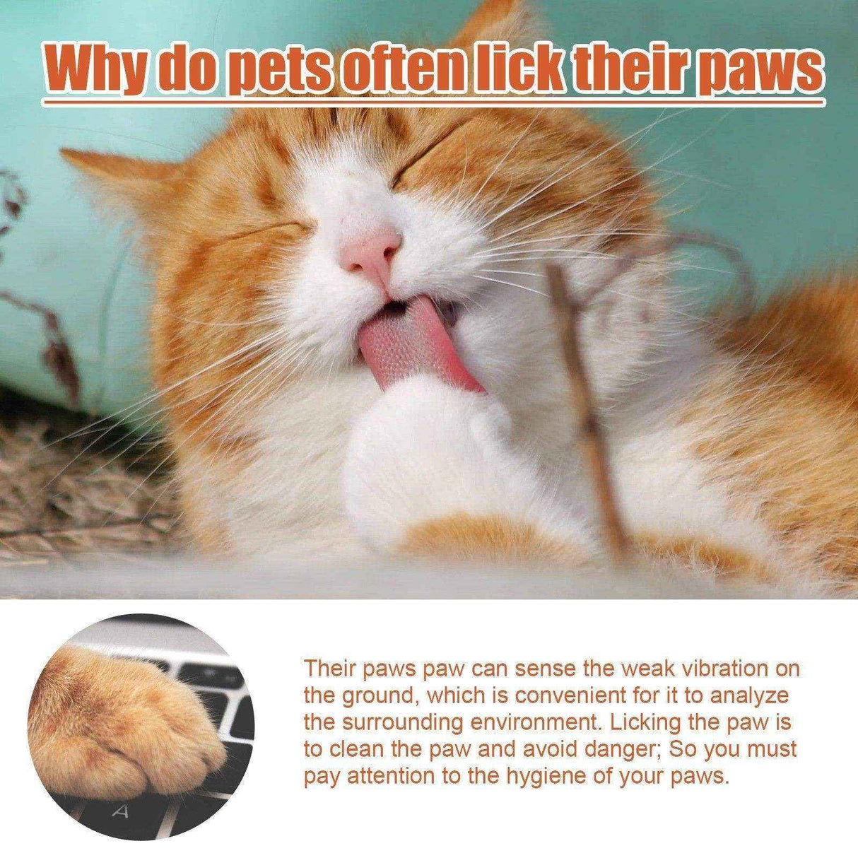 Pet Foot Care Cream Special For Dogs And Cats Foot Care Foot Pad Protection