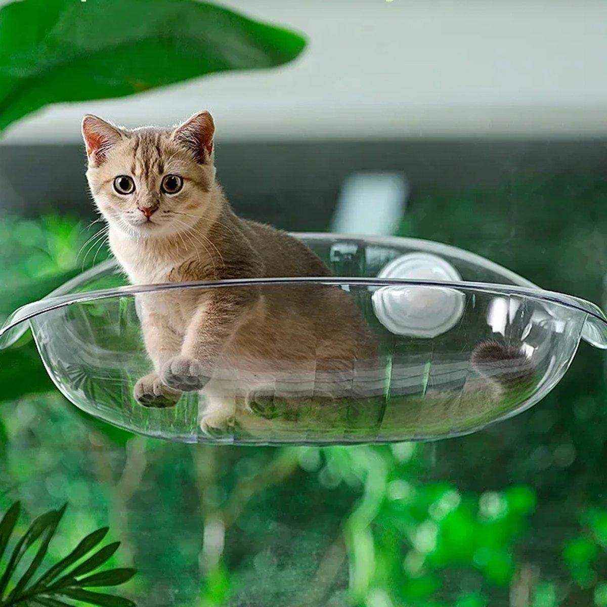 Cat Nest Cat Hammock Space Capsule Cat Bed Window Cat Sunrise Hanging Bed