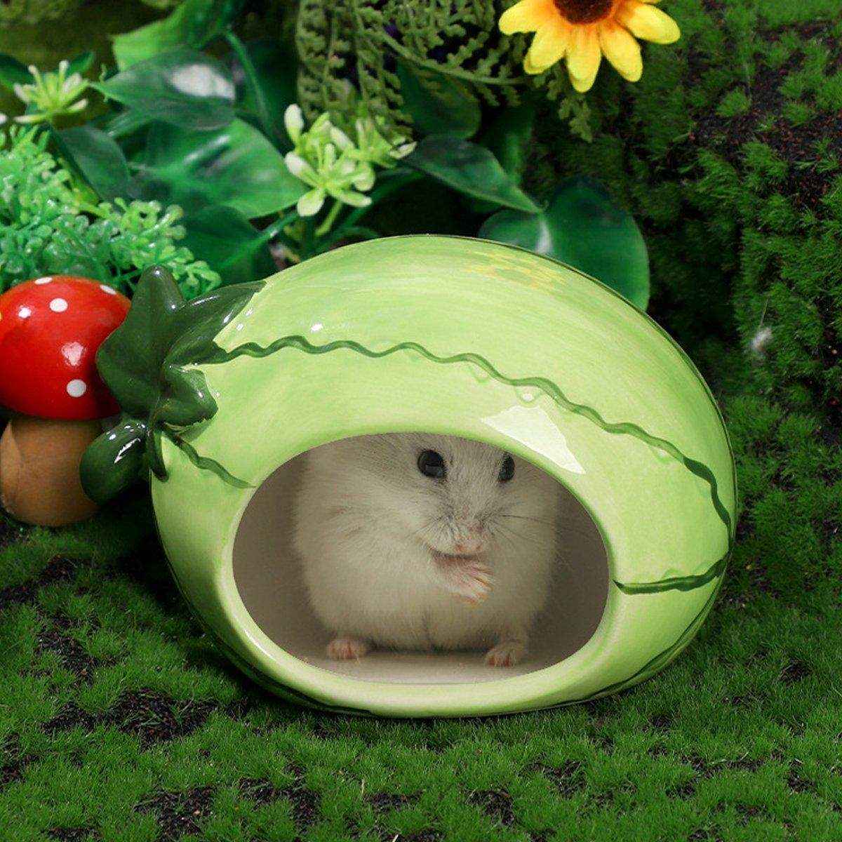 Ceramic Hamster Nest Shelter Landscaping Supplies Small Animal Hideout House