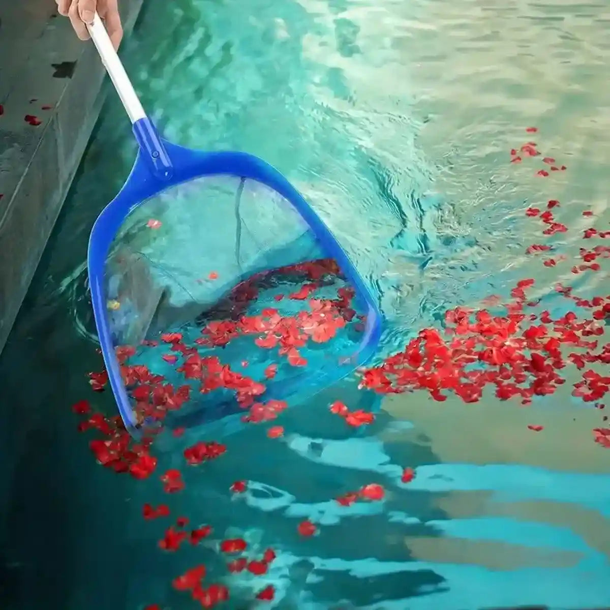 Professional Swimming Pool Cleaning Net - Adjustable Skimming Net for Pools | Petfection Corner