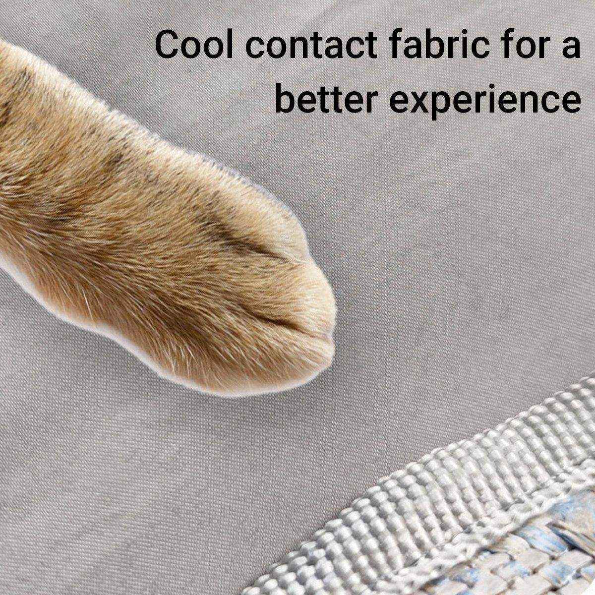 Breathable Cat Tunnel Toy