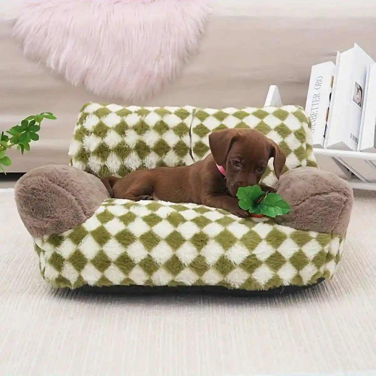 Orthopedic Cat & Dog Sofa Bed Supportive & Cozy Pet Couch