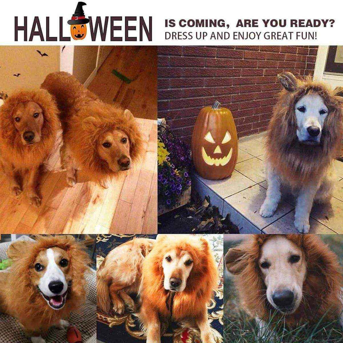 Lion Costume Mane Wig Large Dog Fancy Dress Up Party for Pet Halloween Clothes