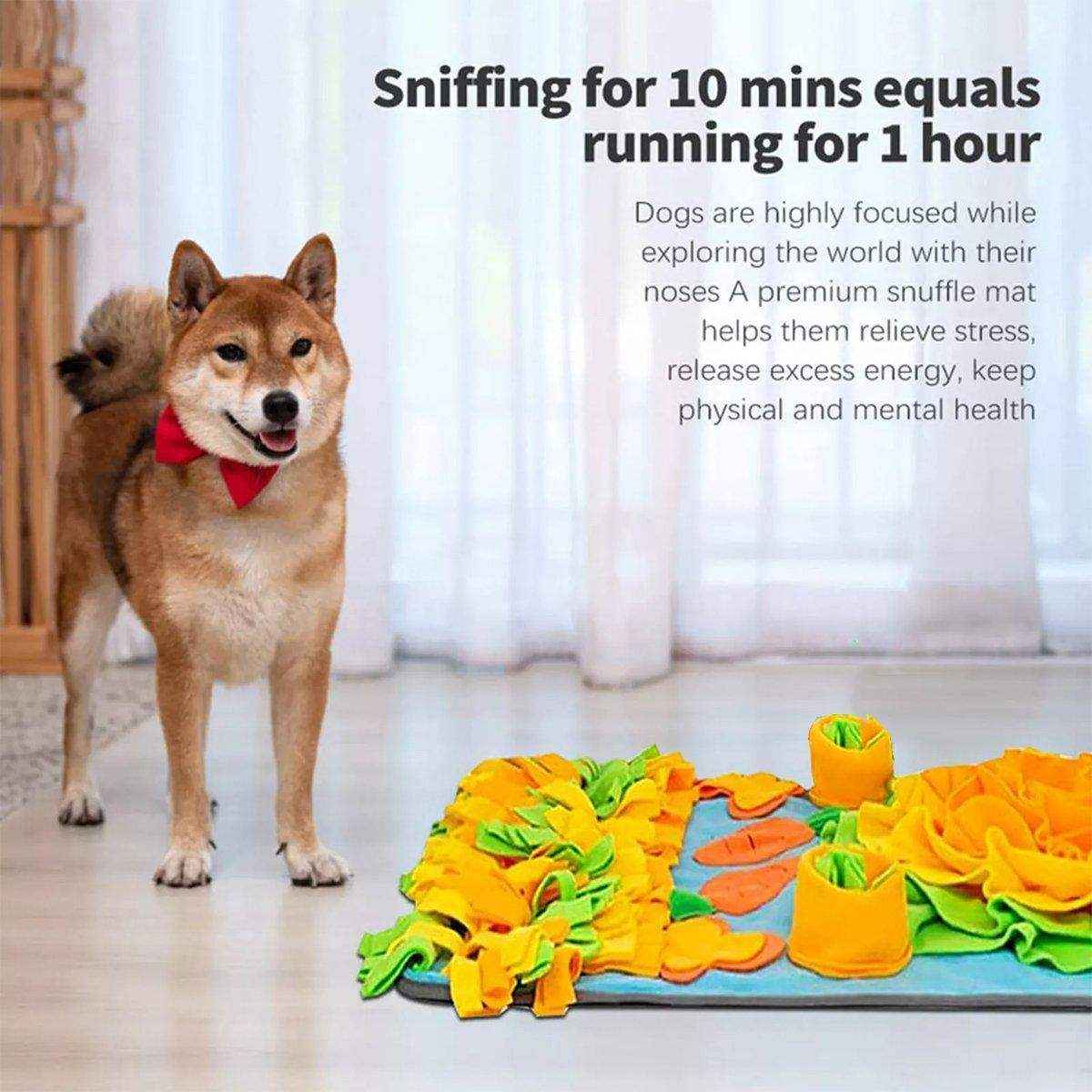 Interactive Pet Sniff Mat Dog Snuffle Toys for Slow Feeding and Mental Stimulation