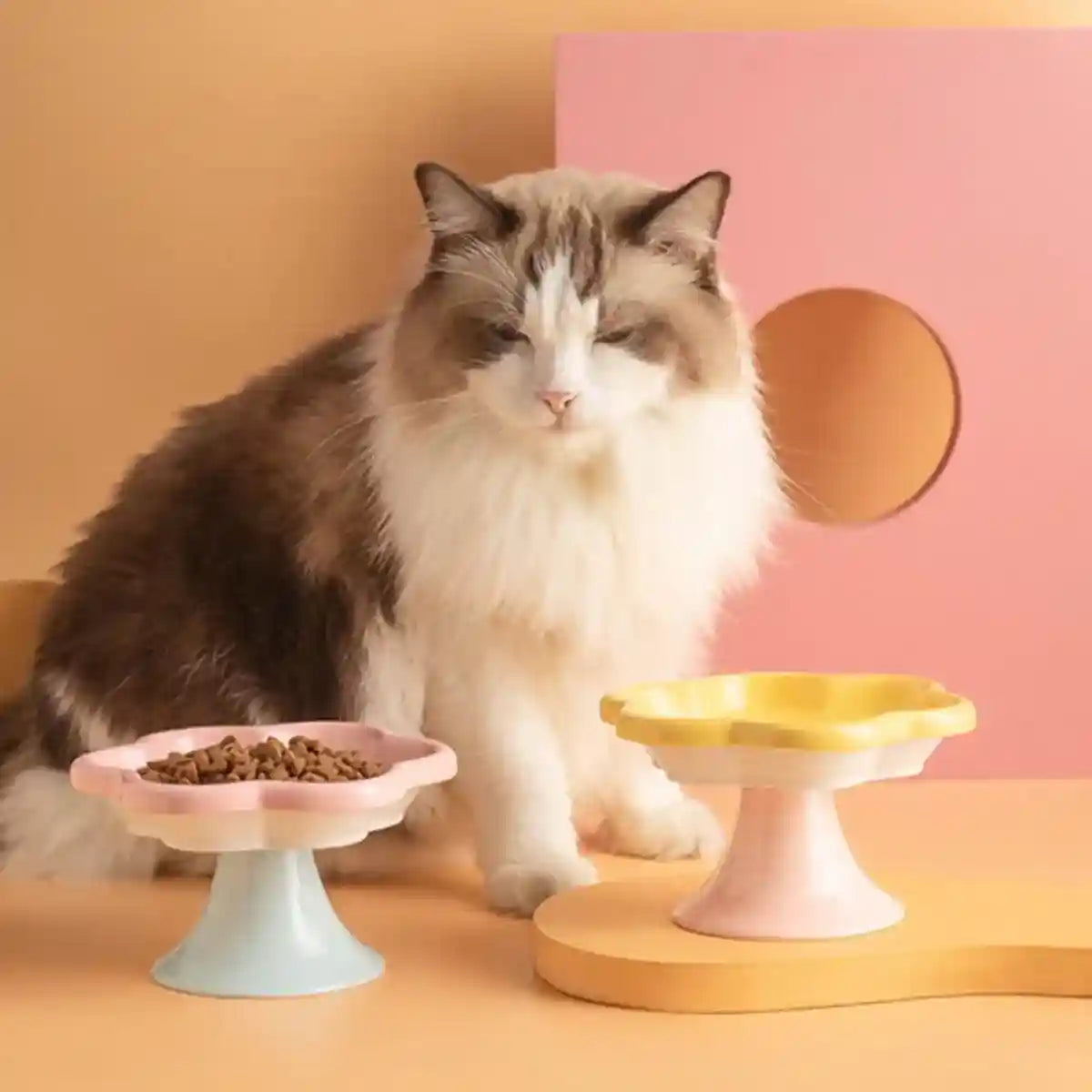 Elevated Ceramic Cat Bowl Anti-Knock Flower-Shaped Dish for Cats & Small Pets