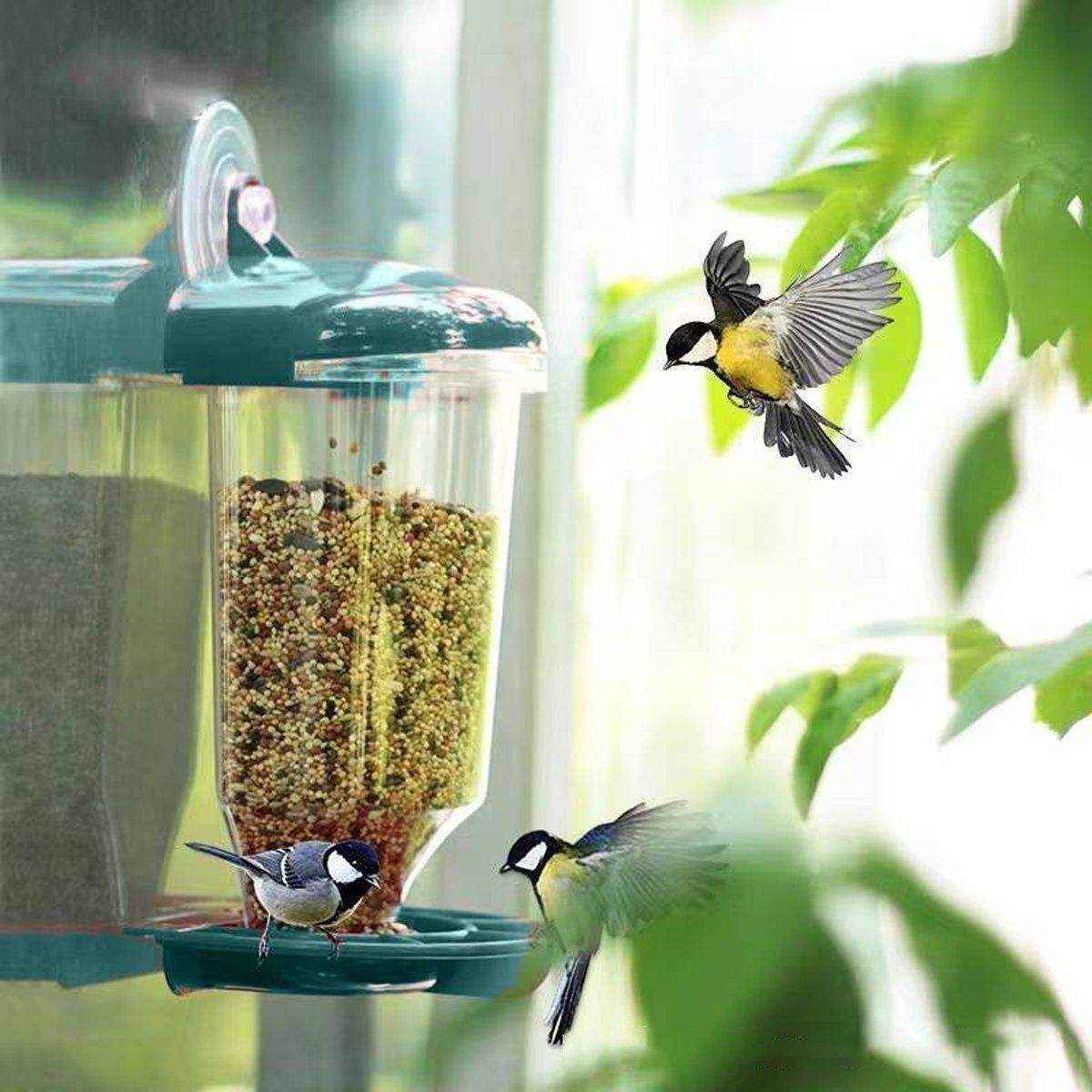 Clear Plastic Automatic Bird Feeder Suspended Suction Cup