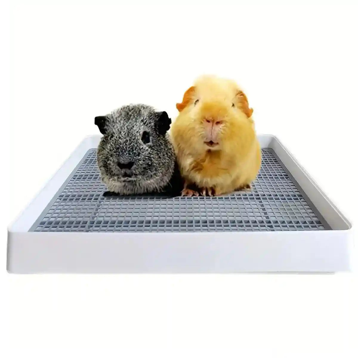 Large Rabbit Litter Box with High-Sided Design