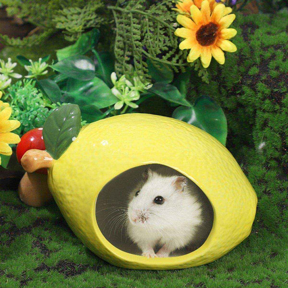 Ceramic Hamster Nest Shelter Landscaping Supplies Small Animal Hideout House