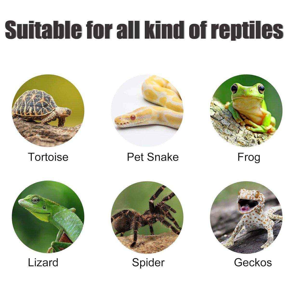 Creative Spiral Turtle Platform Aquarium Turtle Goldfish Escape Resin Crafts Ornaments