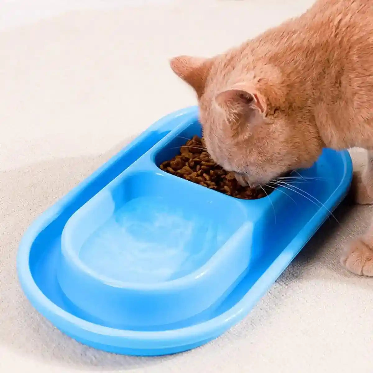 Outdoor Waterproof Double Cat Feeding Bowl Rainproof Pet Food Bowl Anti-Ant