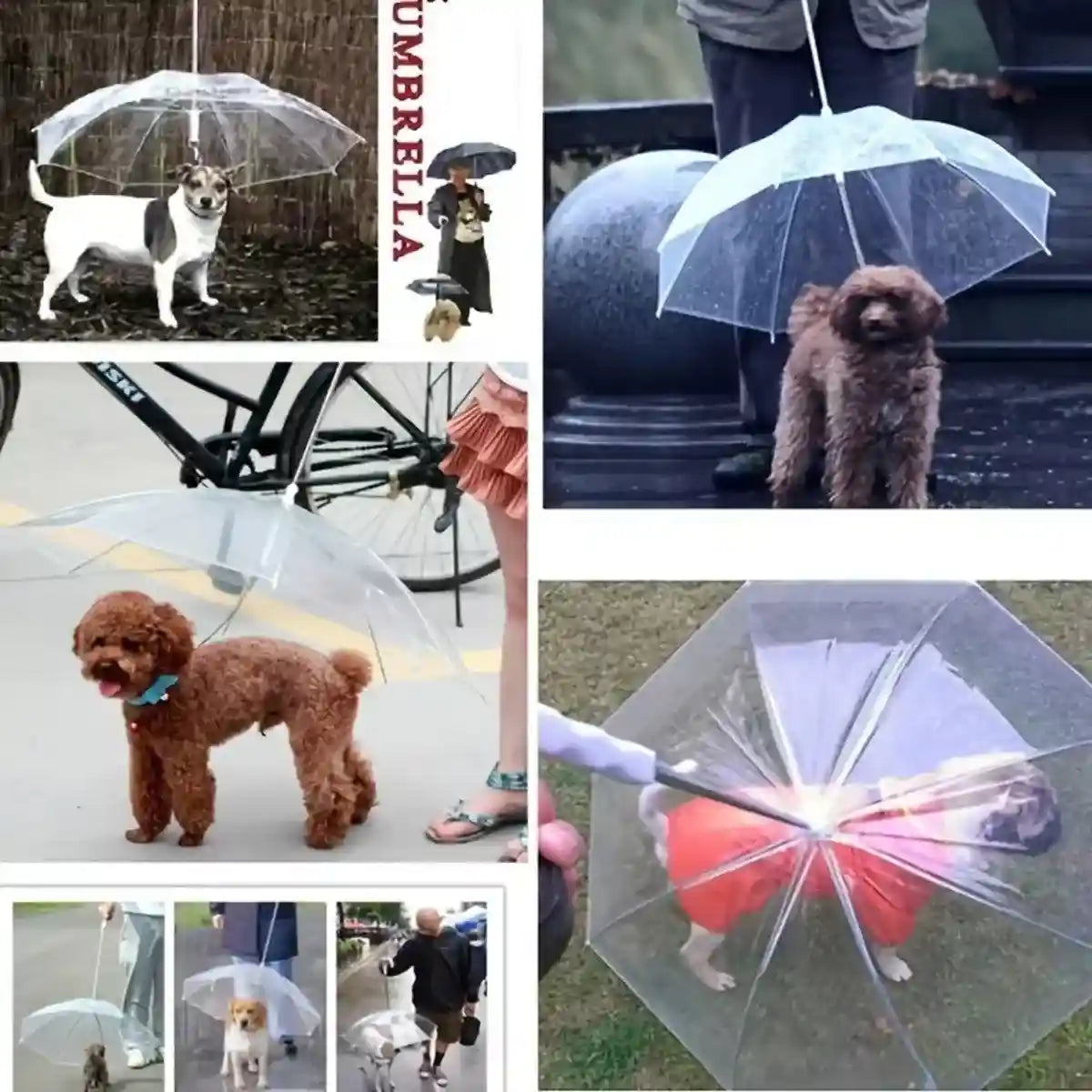 Pet Umbrella with Leash Attachment Keep Your Dog Dry in Style