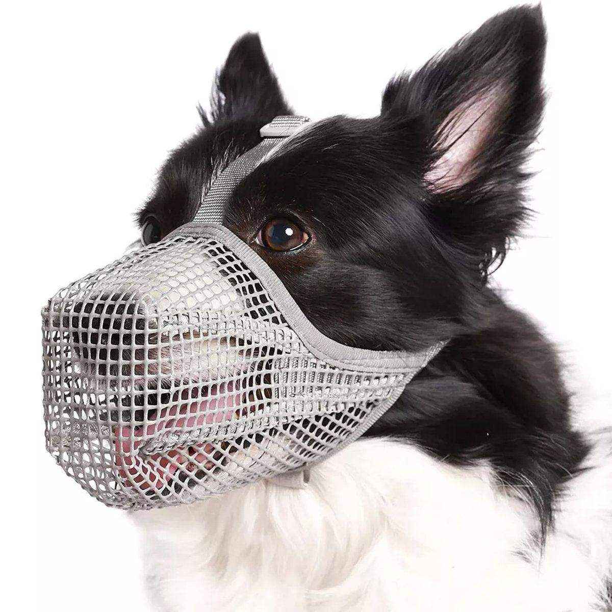 2PCS Adjustable Mesh Dog Muzzle Set Breathable Anti-Bite Muzzles