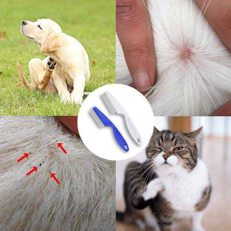 Premium Flea Comb for Dogs and Cats Effective Flea Removal Tool