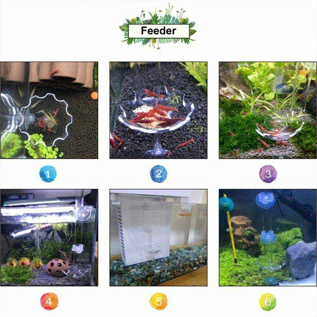 Aquarium Fish Tank Shrimp Food Feeder Clear Arylic Feeding Dish Fish Tank Feeder