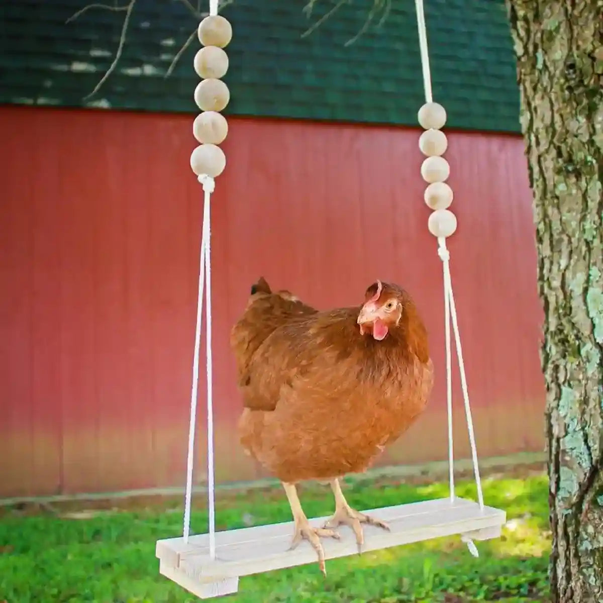 Durable Wooden Chicken Swing for Outdoor Poultry Coops