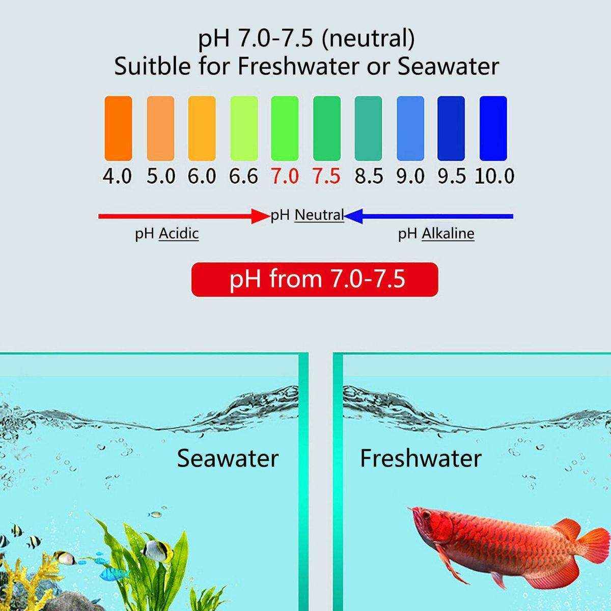 Efficient Fish Tank Filter Media Bacterial House Water Purification Filter Material