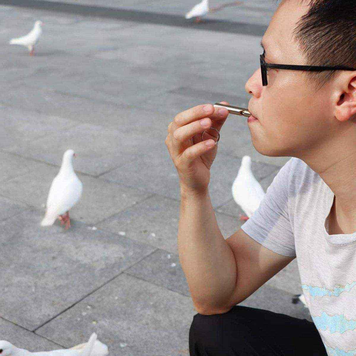 Bird Training Whistle Pet Bird Equipment Tease Lead Whistle for Pet Birds Parrot