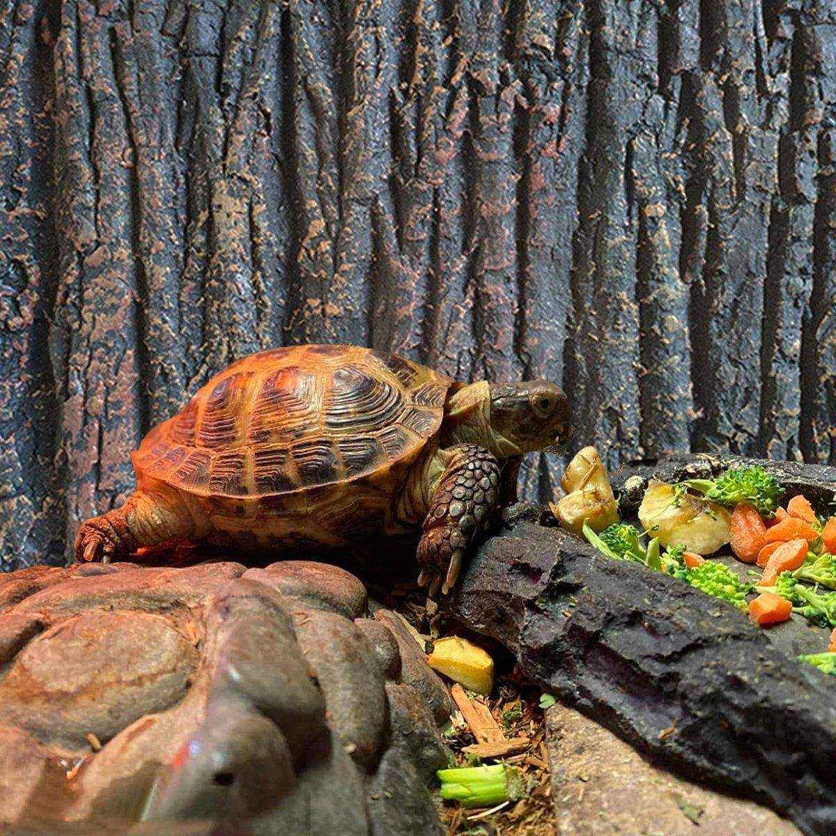 3D Aquarium Background Board Realistic Bark & Rock Design for Tanks