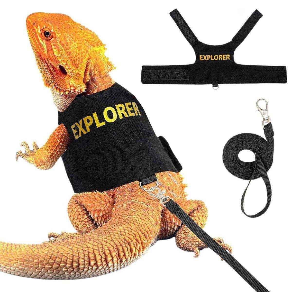 Lizard Leash Climbing Pet Out Chest Strap Chameleon Squirrel Leash