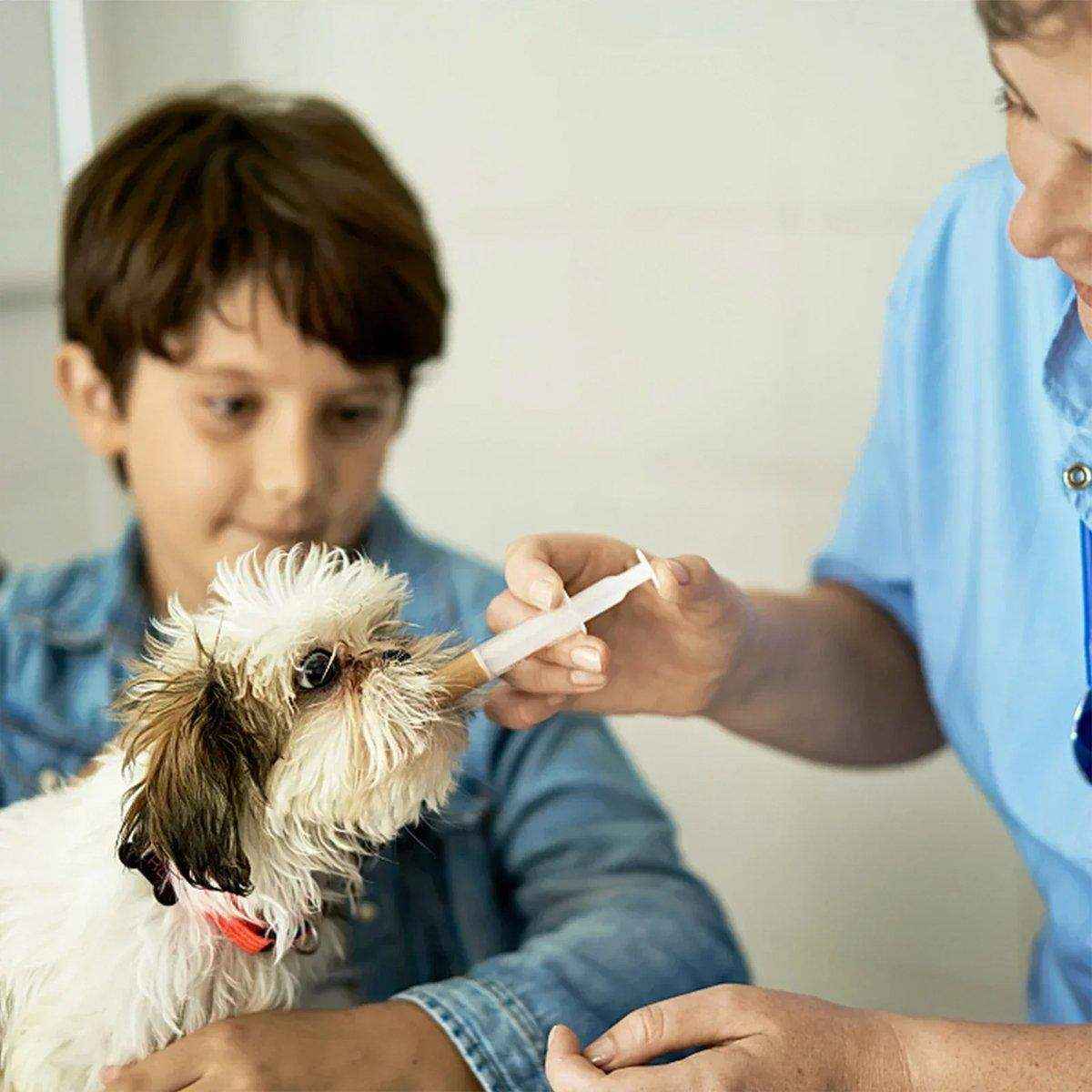 Kitten Puppy Pet Feeding Syringe Feeder Cat Dog Nursing Bottle with Pacifier