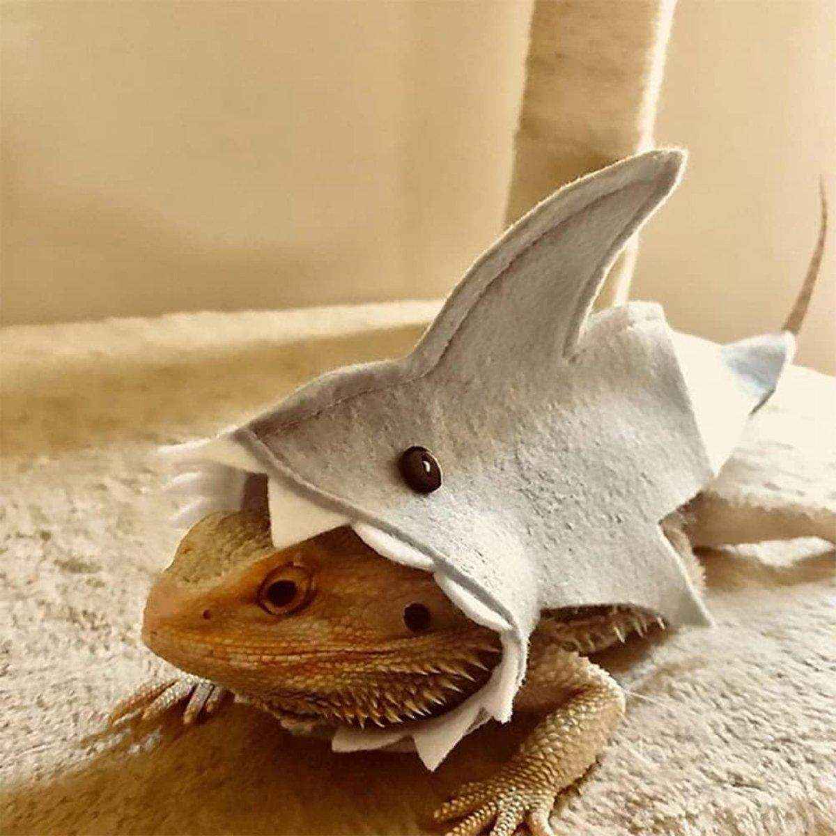 Lizard Shark Costume for Small Pets Adorable Reptile Outfit for Halloween Party