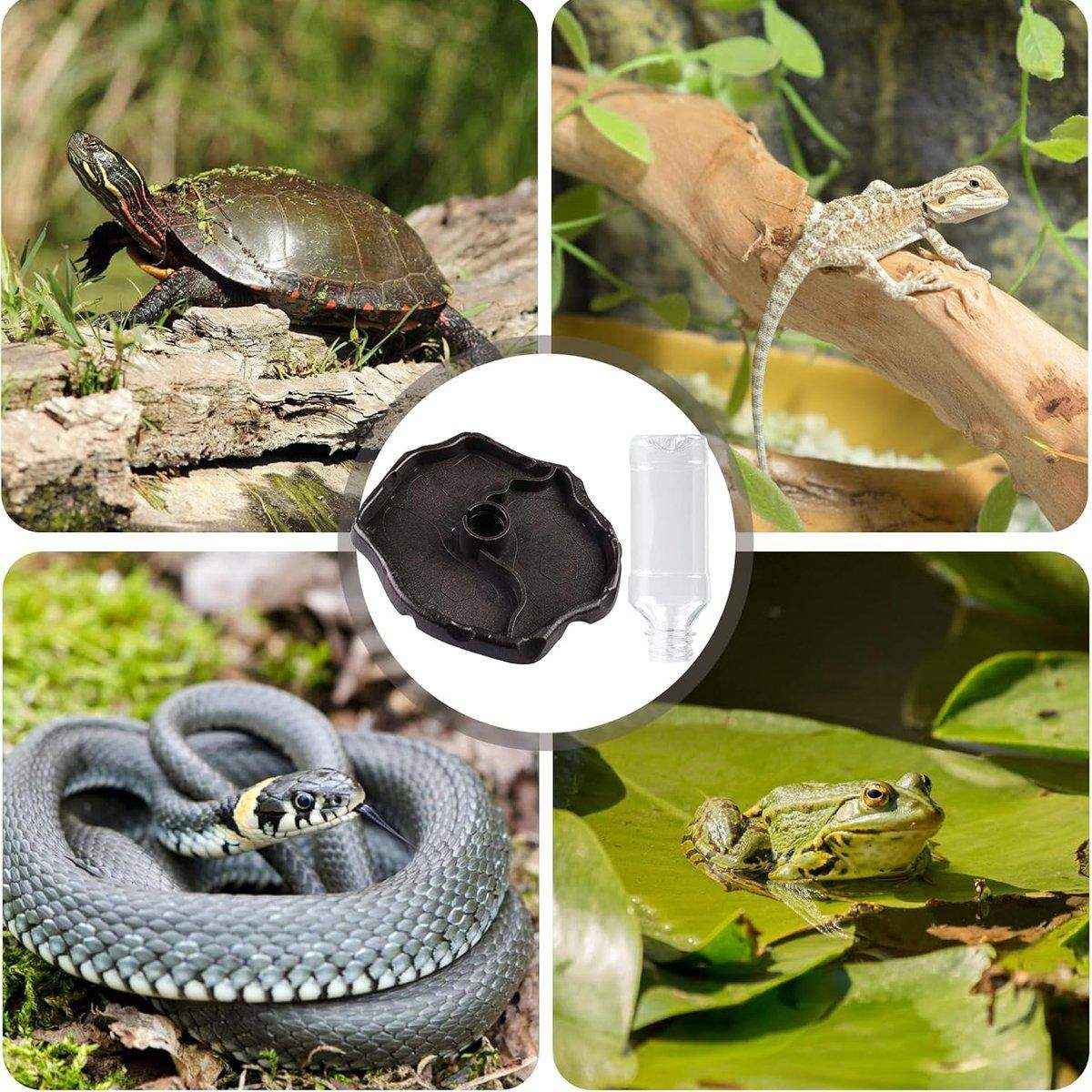 2-in-1 Reptile Feeder & Water Bowl – Dual-Purpose for Small Pets