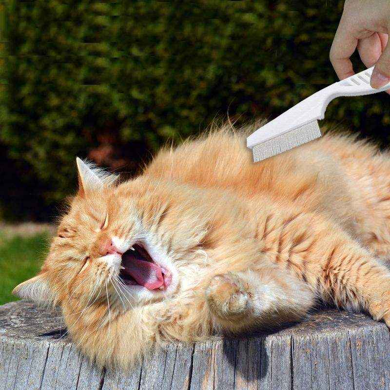 Premium Flea Comb for Dogs and Cats Effective Flea Removal Tool