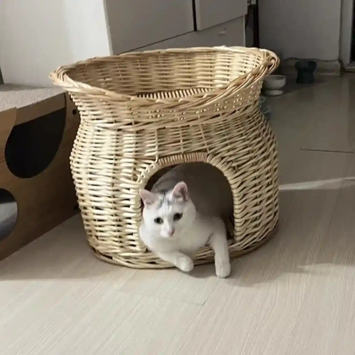 Rattan Cat House Double-Layer Design for Comfort and Privacy