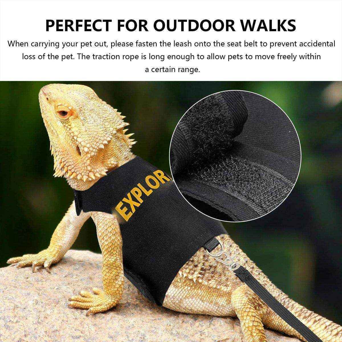 Lizard Leash Climbing Pet Out Chest Strap Chameleon Squirrel Leash