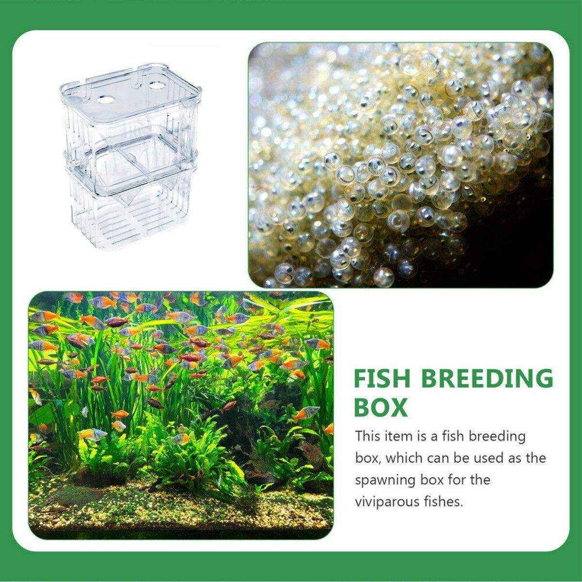 Transparent Guppy Breeding Box for Aquarium Fish Breeding and Isolation