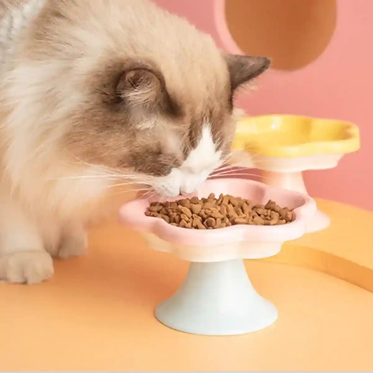 Elevated Ceramic Cat Bowl Anti-Knock Flower-Shaped Dish for Cats & Small Pets