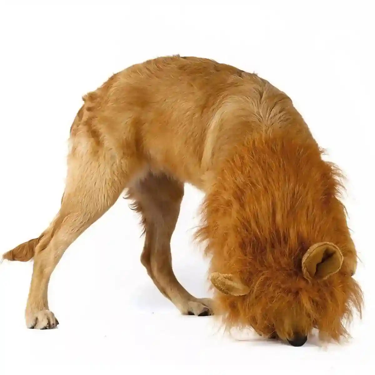 Lion Costume Mane Wig Large Dog Fancy Dress Up Party for Pet Halloween Clothes