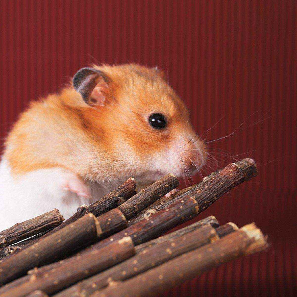 Natural Apple Sticks for Rabbits and Small Pet Chew Toy