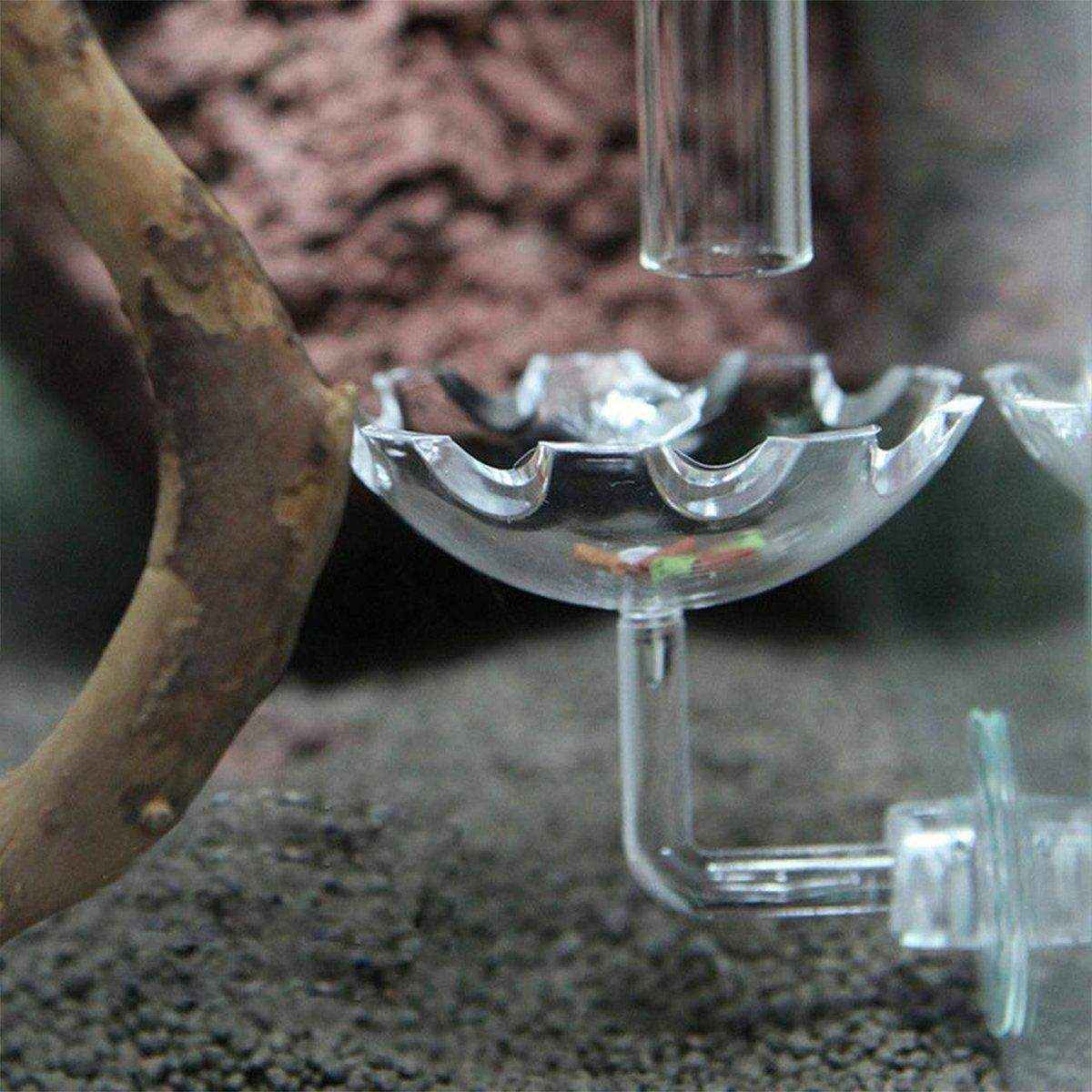 Aquarium Fish Tank Shrimp Food Feeder Clear Arylic Feeding Dish Fish Tank Feeder