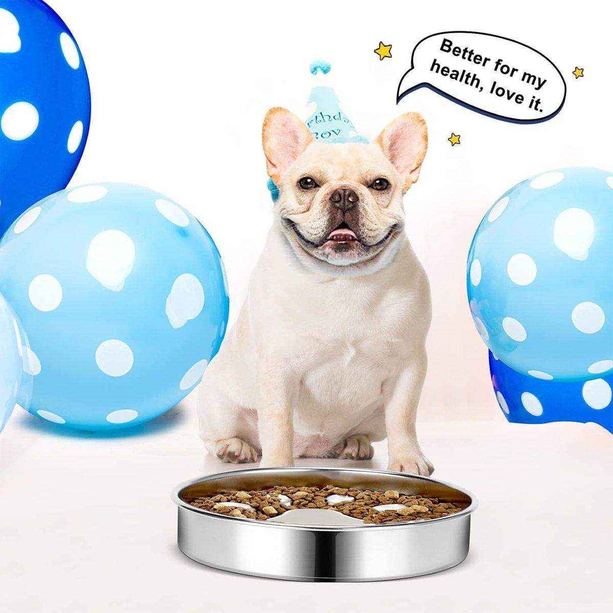 Durable Stainless Steel Slow Feeder Dog Bowl Anti-Bloat & Healthy Eating