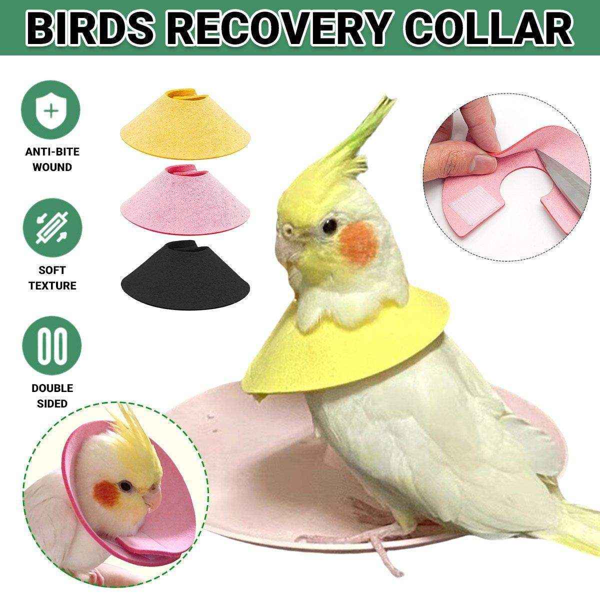 Parrot Bird Elizabeth Circle Anti-biting Hair Picking Hair Injury Protection