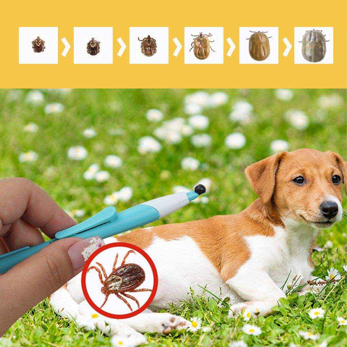 Pet Tick Remover Pen - 2 Pack