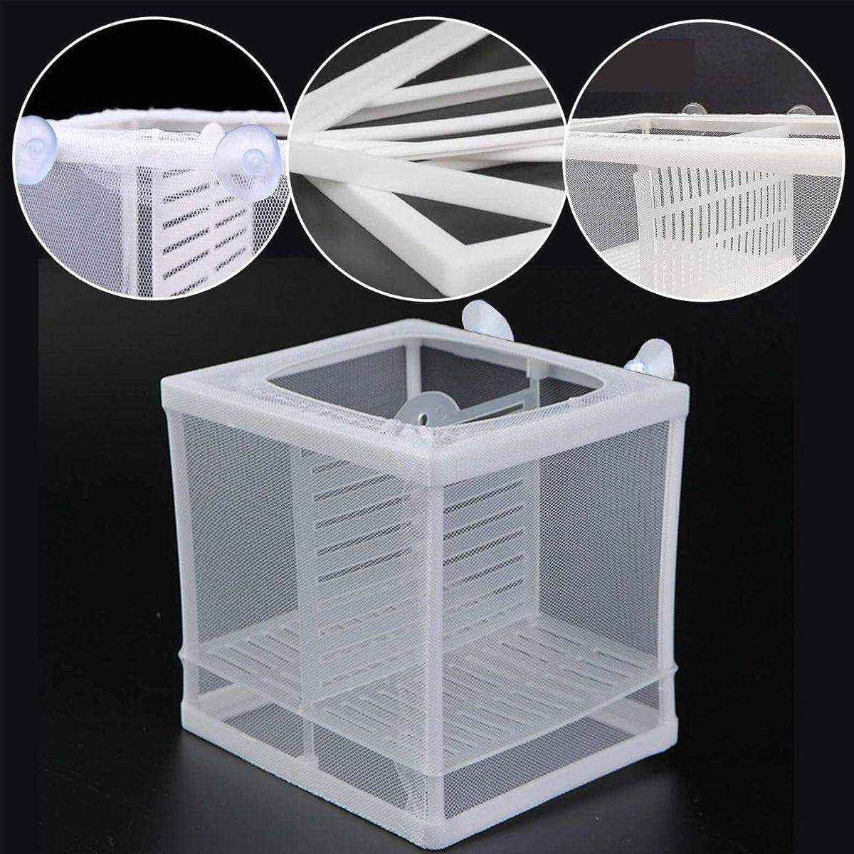 Premium Guppy Breeding Box for Safe Fish Separation