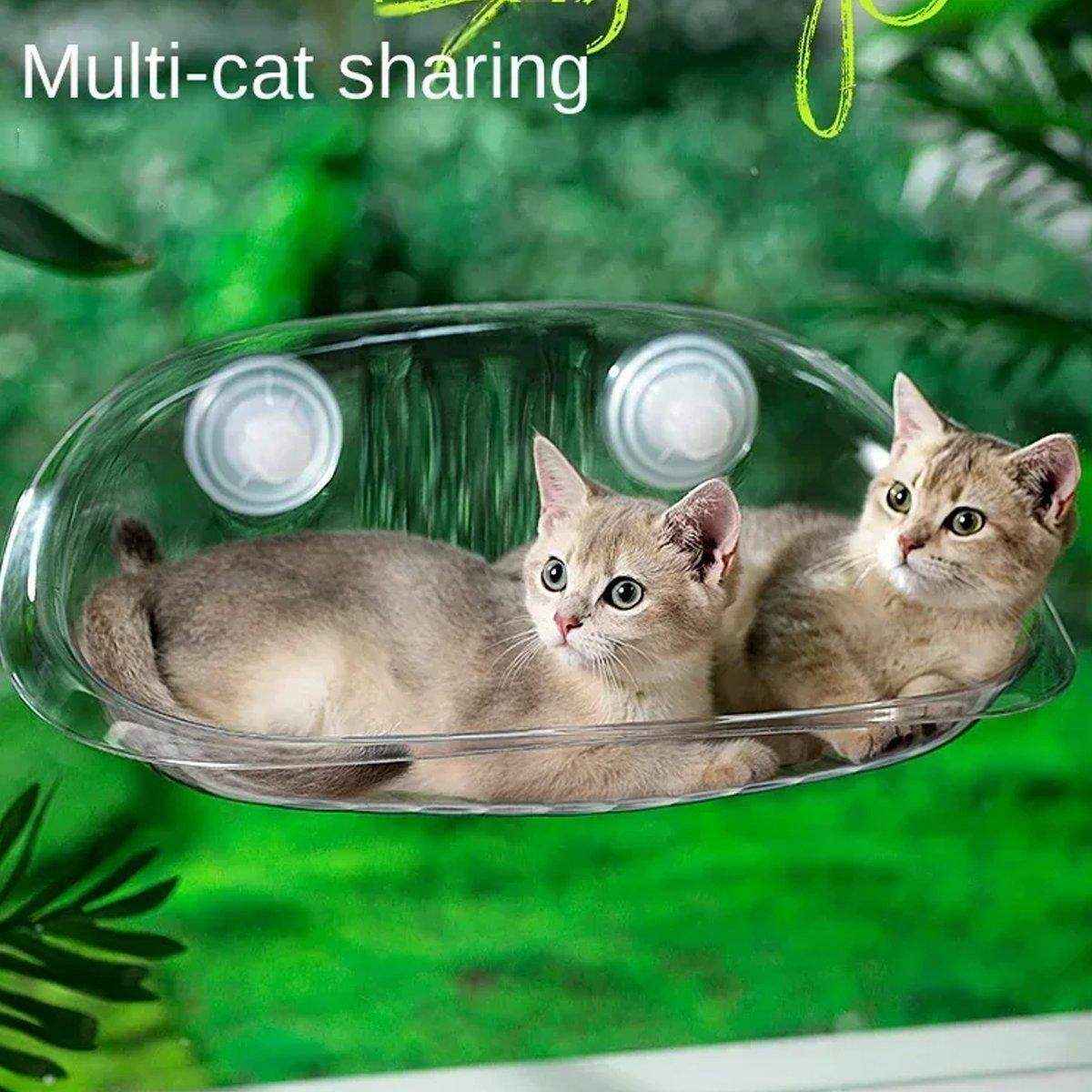 Cat Nest Cat Hammock Space Capsule Cat Bed Window Cat Sunrise Hanging Bed