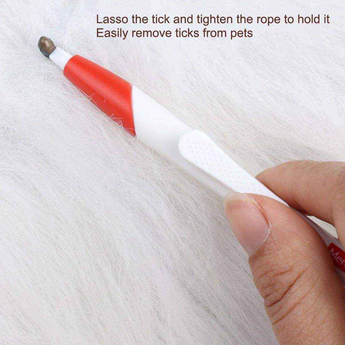 Pet Tick Remover Pen - 2 Pack