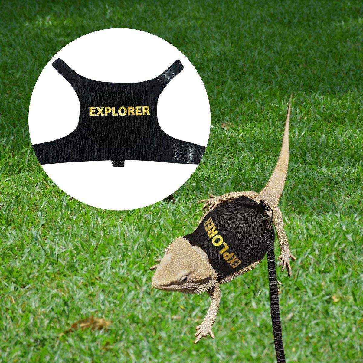 Lizard Leash Climbing Pet Out Chest Strap Chameleon Squirrel Leash