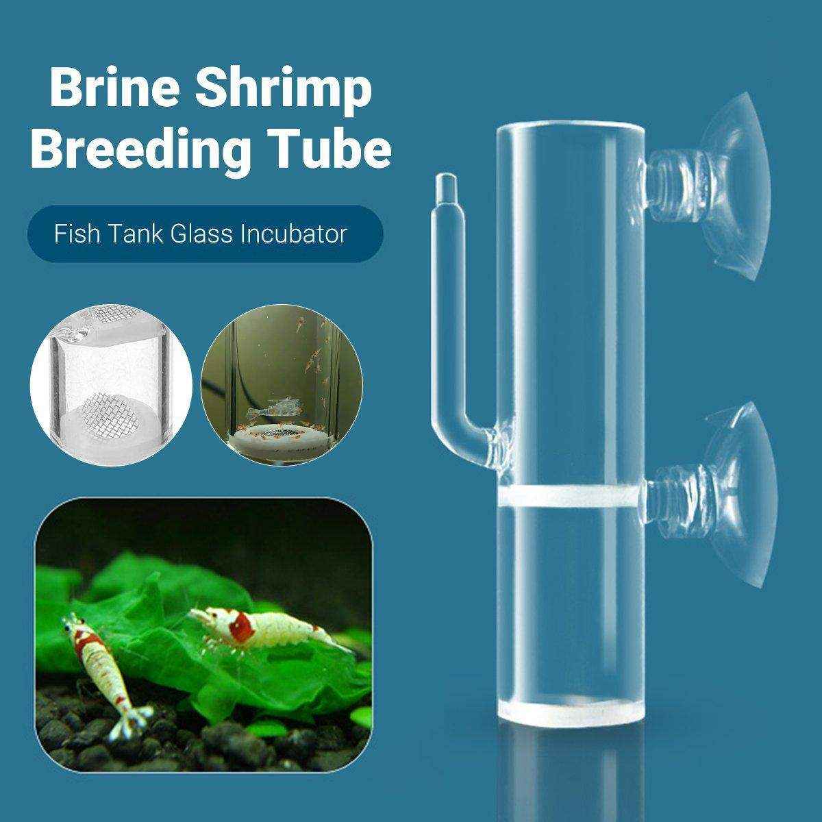 Glass Shrimp Incubator - Efficient CO2 Fertilization System