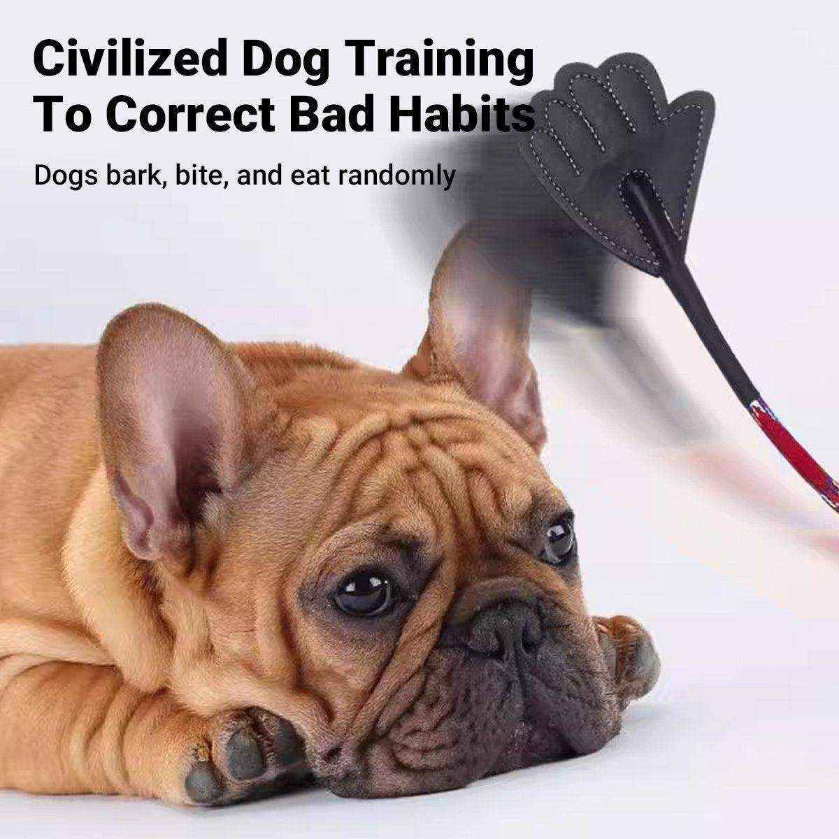 Flexible Dog Training Stick 43cm Soft Behavior Correction Tool for Pets