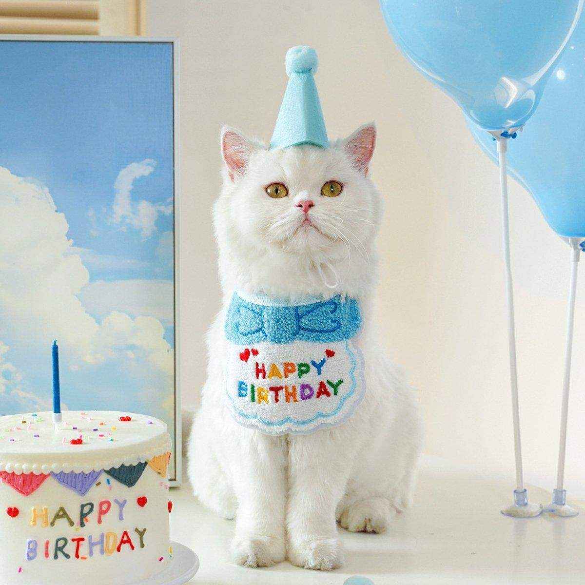 Pet Ins Wind Birthday Saliva Towel Bib Scarf Dog Cat Hat Decorations