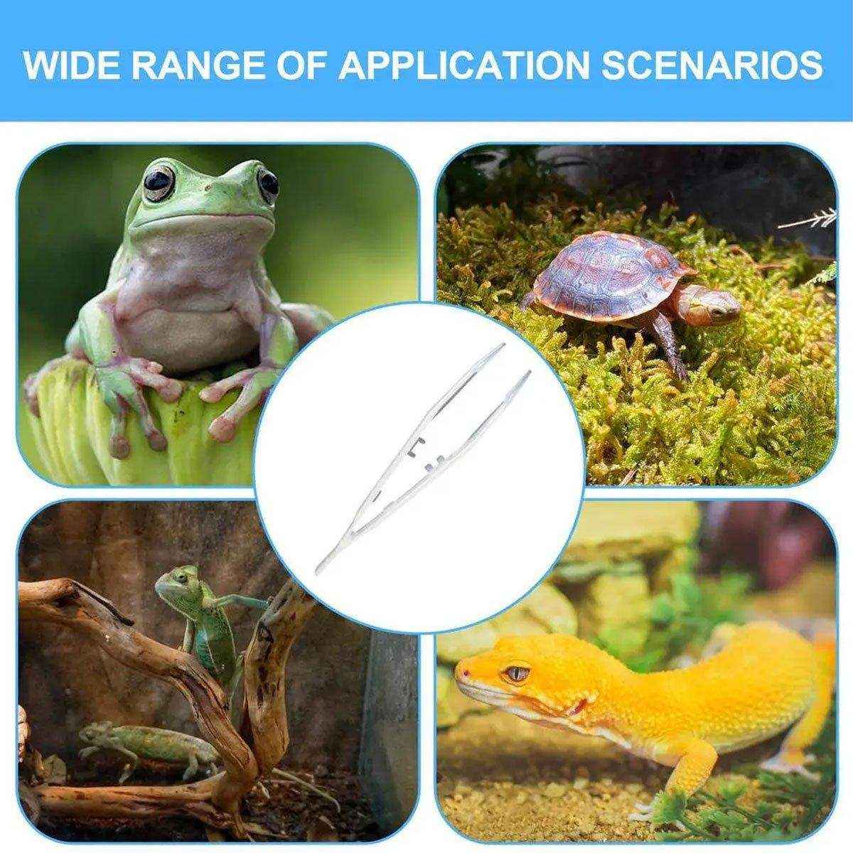 Luminous Tweezers 18cm Straight Feeding Tool For Reptile Tortoise Lizard Frog Spider